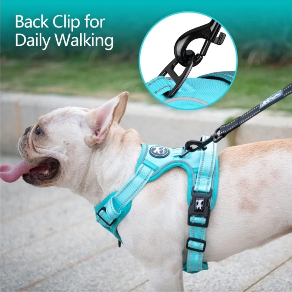 PoyPet No Pull Dog Harness, No Choke Reflective Dogs(Mint Blue Matching Trim, M)
